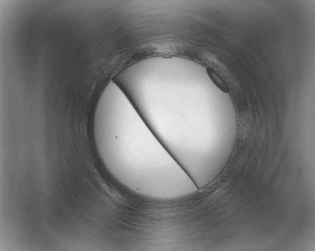 X0000063480213200602101815