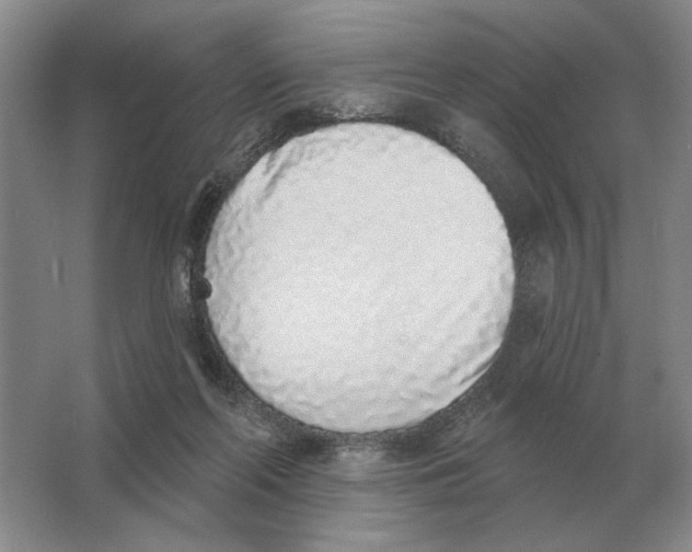X0000063480214200602101815