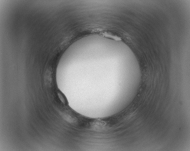 X0000063480215200602101815