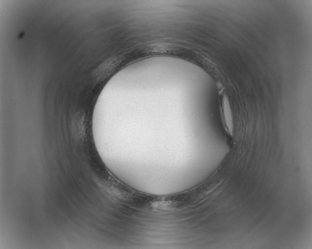 X0000063480216200602101815