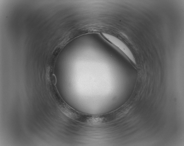 X0000063480217200602101815