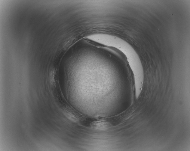 X0000063480219200602101815