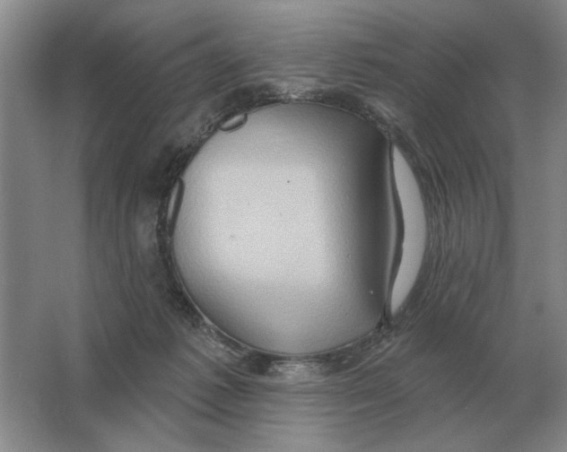 X0000063480221200602101815