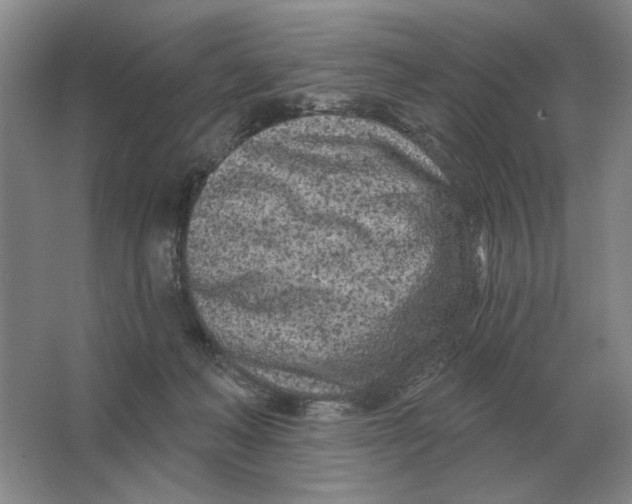 X0000063480222200602101815