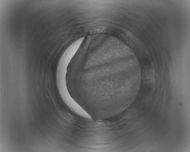 X0000063480224200602101815