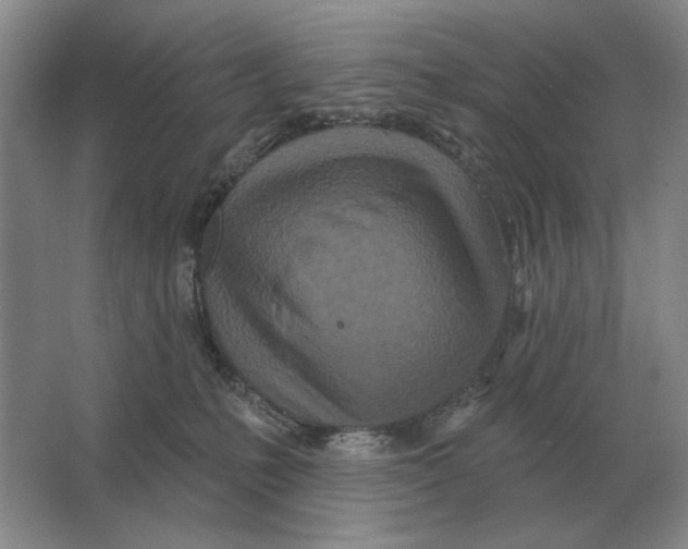 X0000063480231200602101814