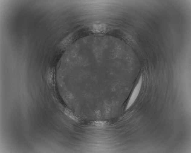 X0000063480233200602101814