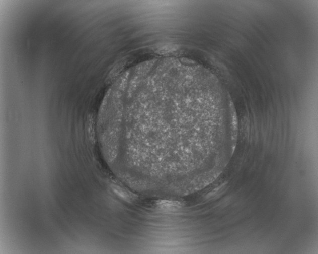 X0000063480234200602101814