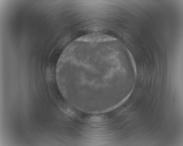 X0000063480236200602101814