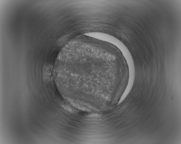 X0000063480237200602101814