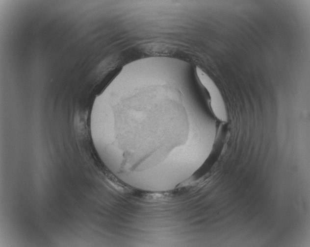 X0000063480239200602101814