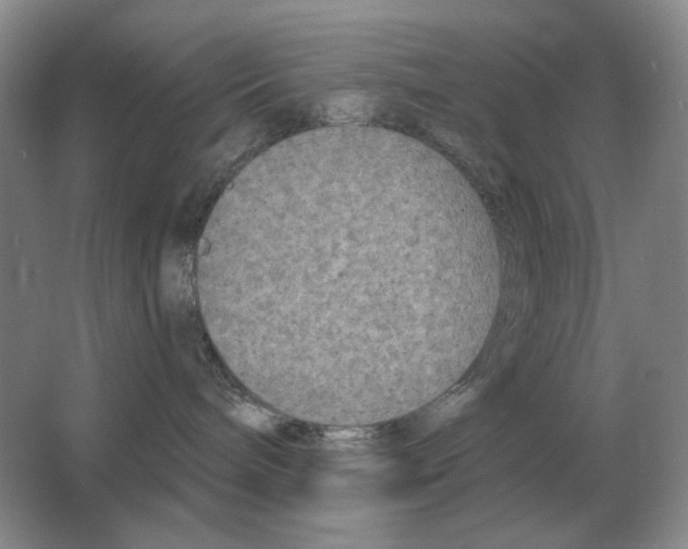 X0000063480240200602101814