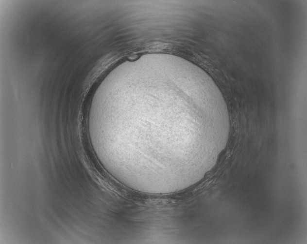 X0000063480242200602101814