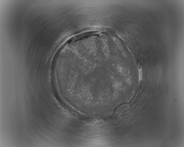 X0000063480243200602101814