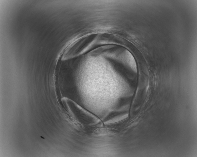 X0000063480244200602101814