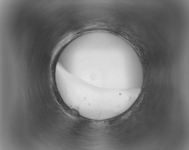 X0000063480245200602101814