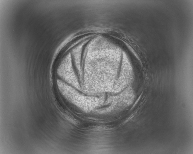 X0000063480246200602101814