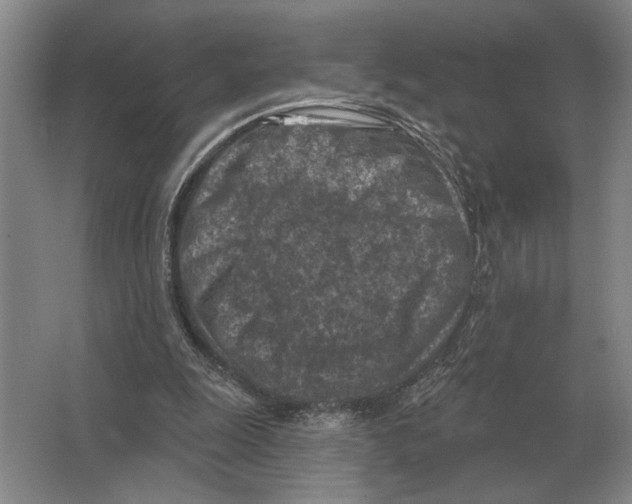 X0000063480247200602101814