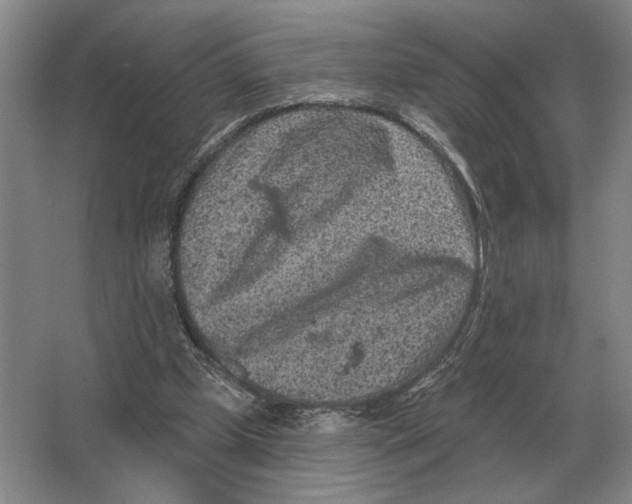 X0000063480249200602101814