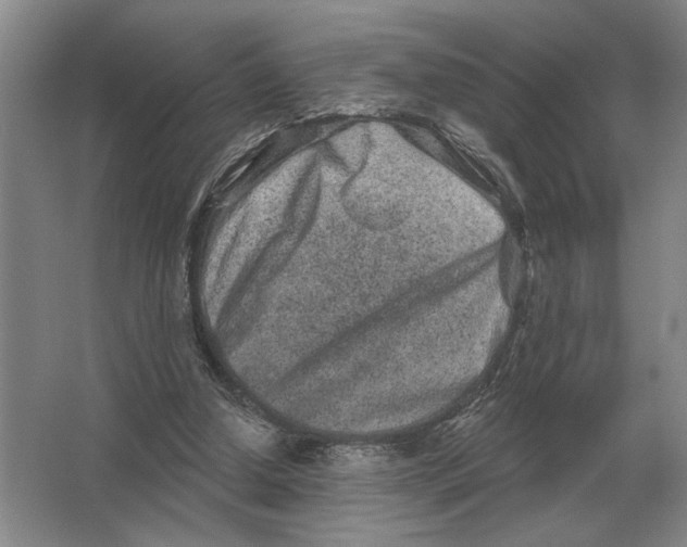 X0000063480250200602101814
