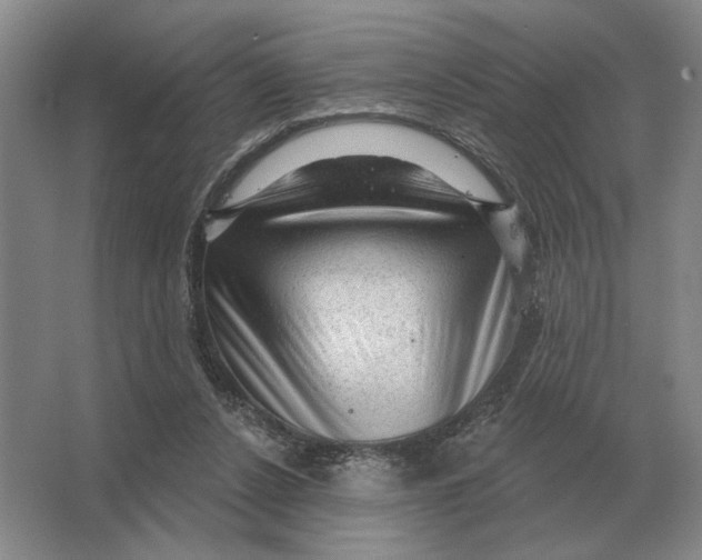 X0000063480256200602101814