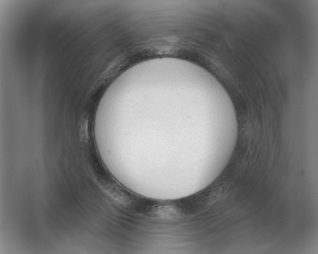 X0000063480262200602101814