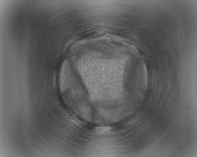 X0000063480266200602101814