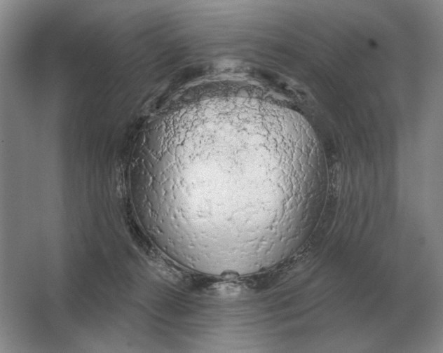 X0000063480272200602101814