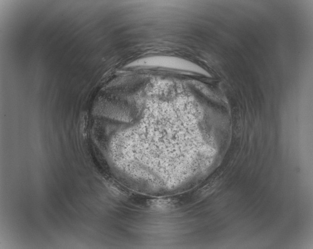 X0000063480273200602101814