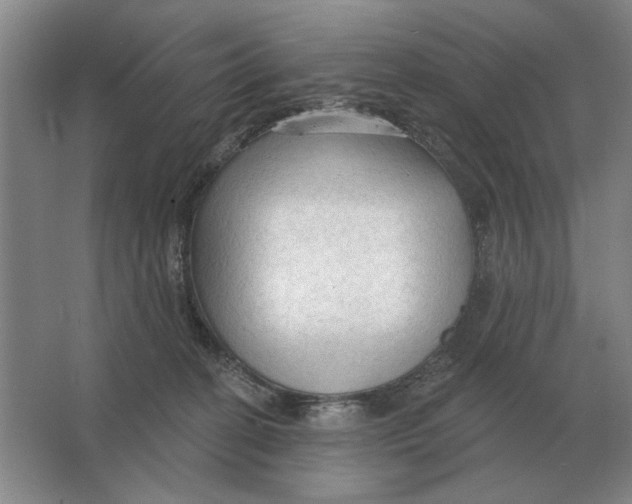 X0000063480274200602101814