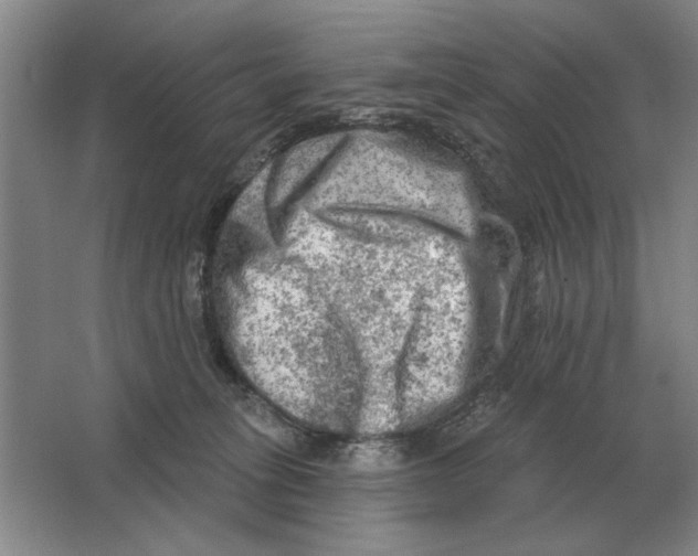 X0000063480275200602101814