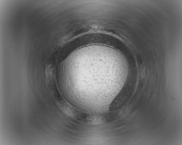 X0000063480276200602101814