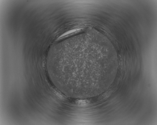 X0000063480277200602101814