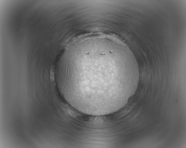 X0000063480282200602101814