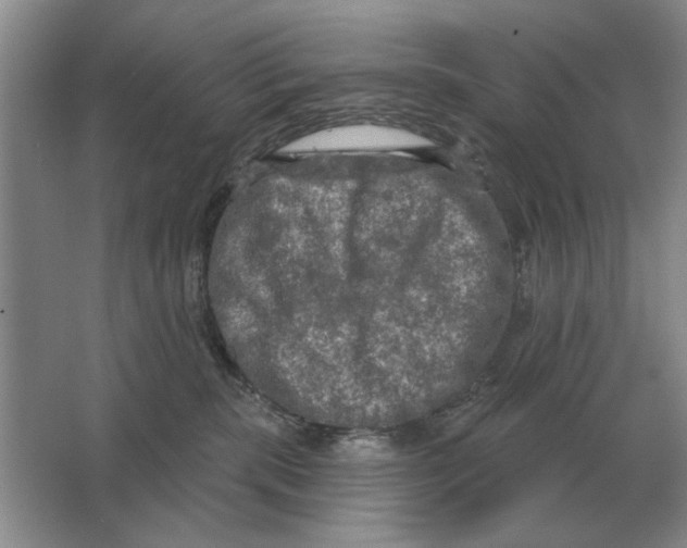 X0000063480283200602101814