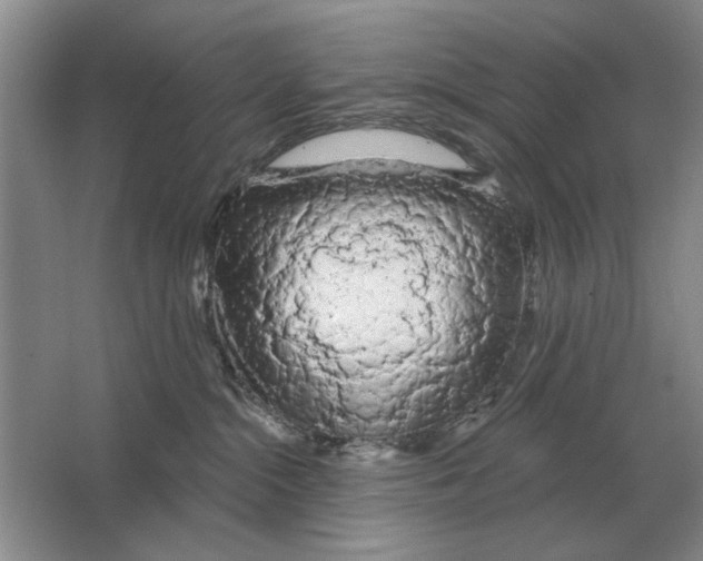 X0000063480284200602101814