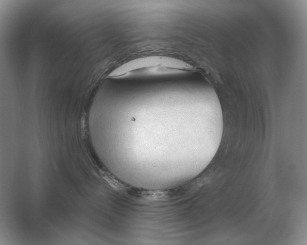 X0000063480288200602101814