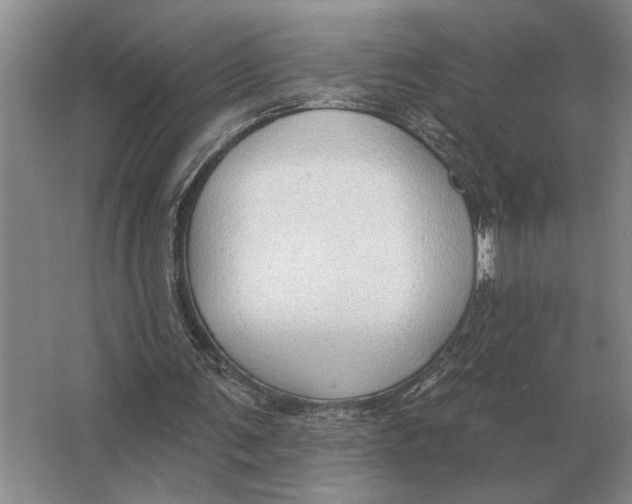 X0000063480291200602101813