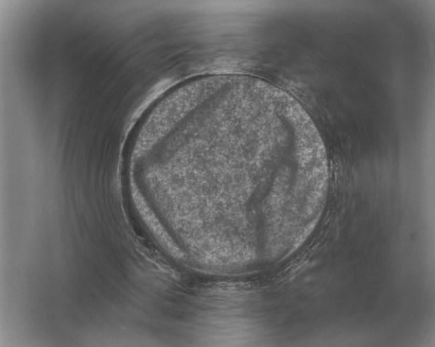 X0000063480292200602101813