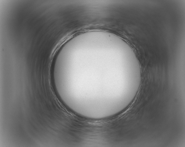 X0000063480293200602101813