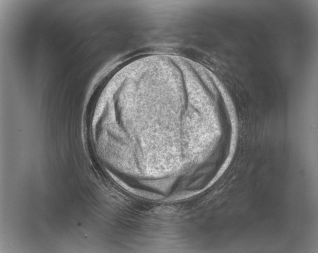 X0000063480294200602101813