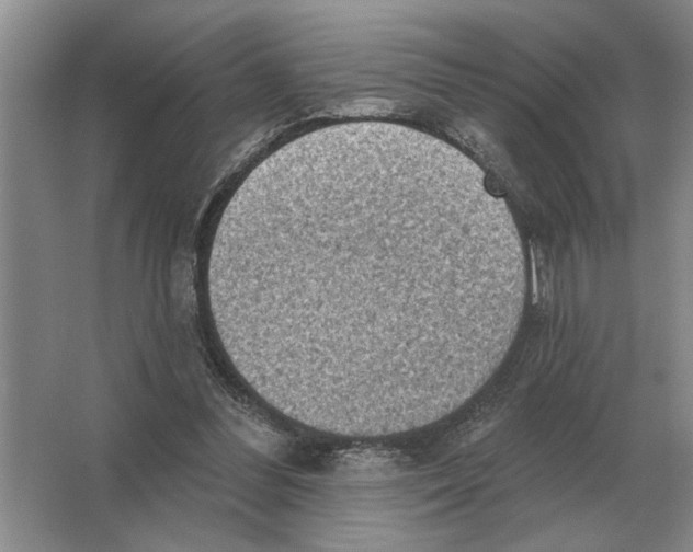 X0000063480300200602101813