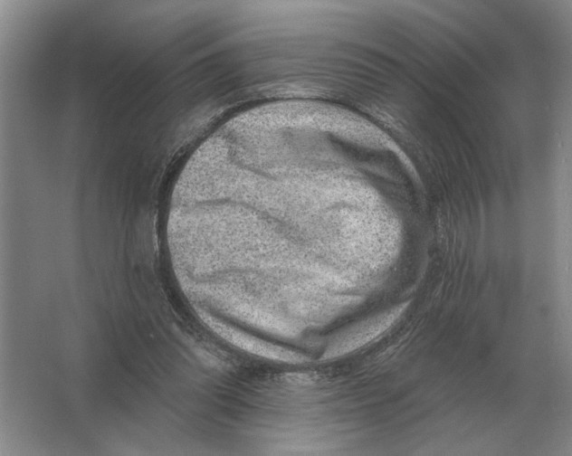 X0000063480302200602101813