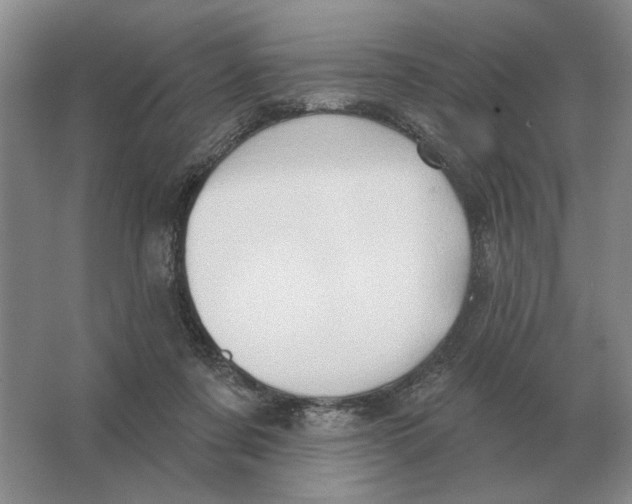 X0000063480311200602101813