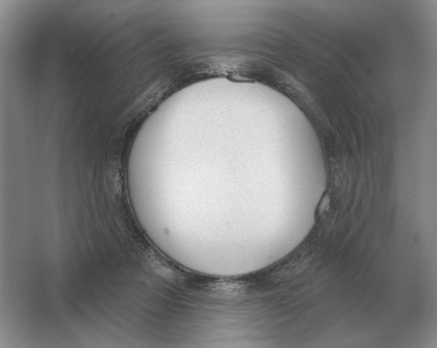 X0000063480313200602101813