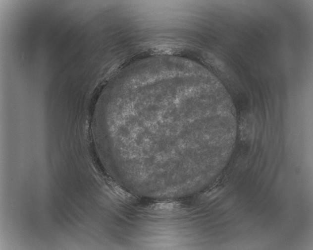 X0000063480314200602101813