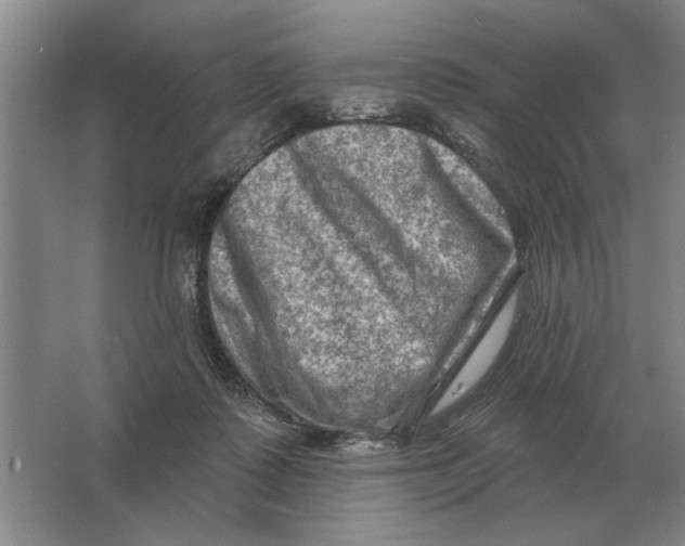 X0000063480315200602101813