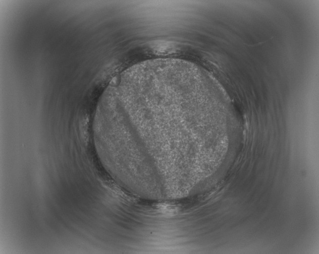 X0000063480319200602101813