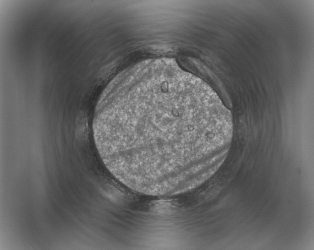 X0000063480320200602101813