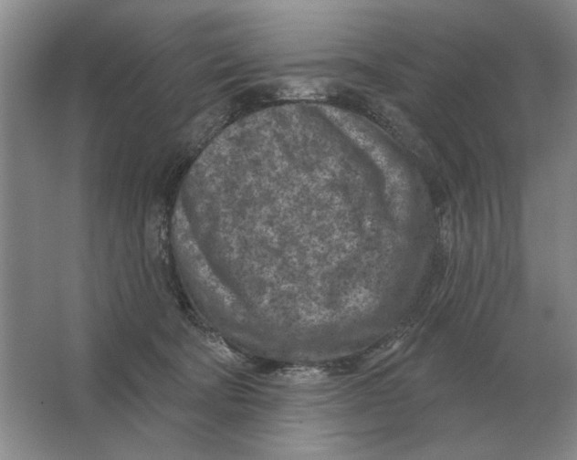 X0000063480322200602101813